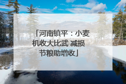 河南镇平：小麦机收大比武 减损节粮助增收